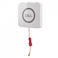 Кнопка вызова iBells 310S влагозащищенная со шнуром для МГН в Калуге
